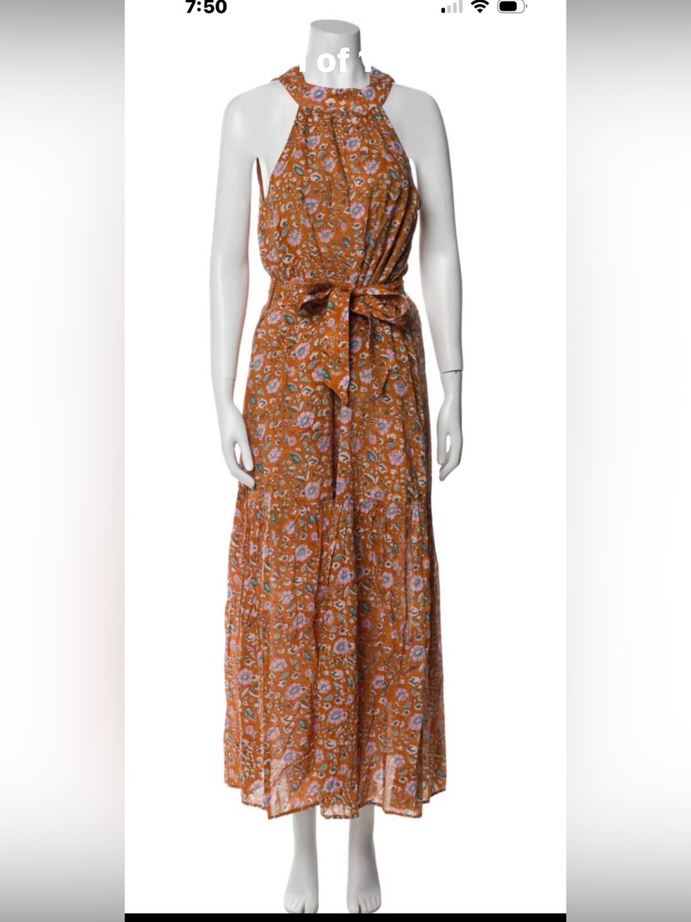 Cleobella WilderFloral Tie-Waist Tie back Maxi Dress